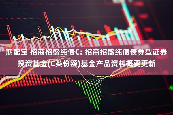 期配宝 招商招盛纯债C: 招商招盛纯债债券型证券投资基金(C类份额)基金产品资料概要更新