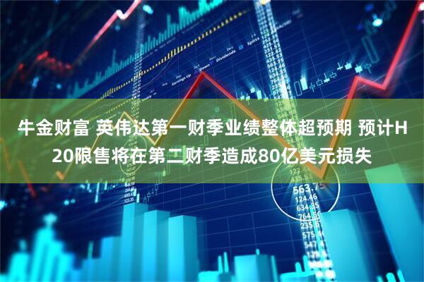牛金财富 英伟达第一财季业绩整体超预期 预计H20限售将在第二财季造成80亿美元损失