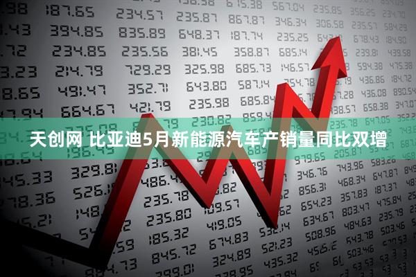 天创网 比亚迪5月新能源汽车产销量同比双增