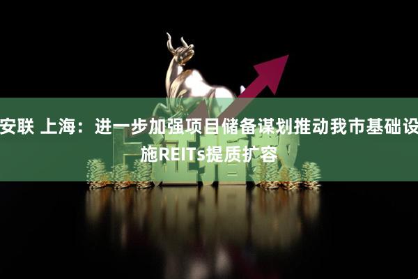 安联 上海：进一步加强项目储备谋划推动我市基础设施REITs提质扩容