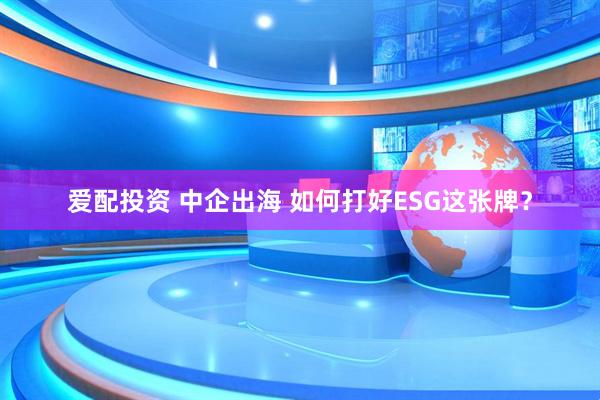 爱配投资 中企出海 如何打好ESG这张牌？