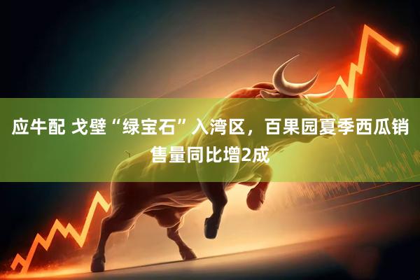 应牛配 戈壁“绿宝石”入湾区，百果园夏季西瓜销售量同比增2成