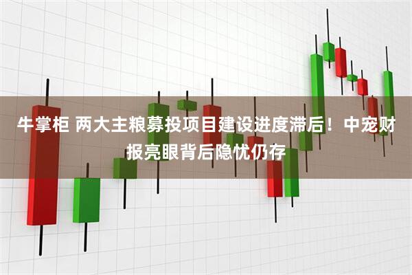 牛掌柜 两大主粮募投项目建设进度滞后！中宠财报亮眼背后隐忧仍存