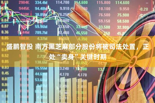 盛鹏智投 南方黑芝麻部分股份将被司法处置，正处“卖身”关键时期