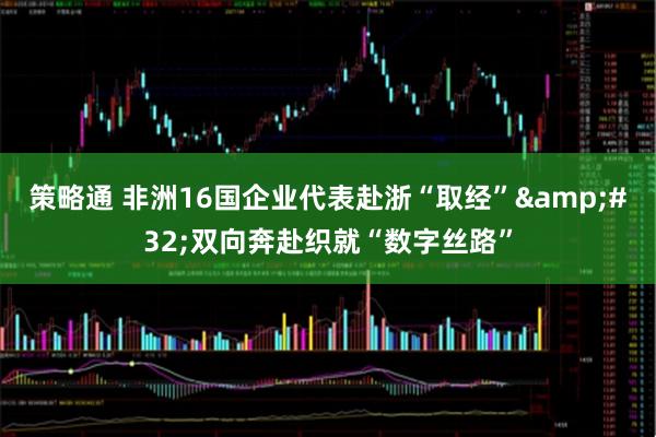 策略通 非洲16国企业代表赴浙“取经” 双向奔赴织就“数字丝路”