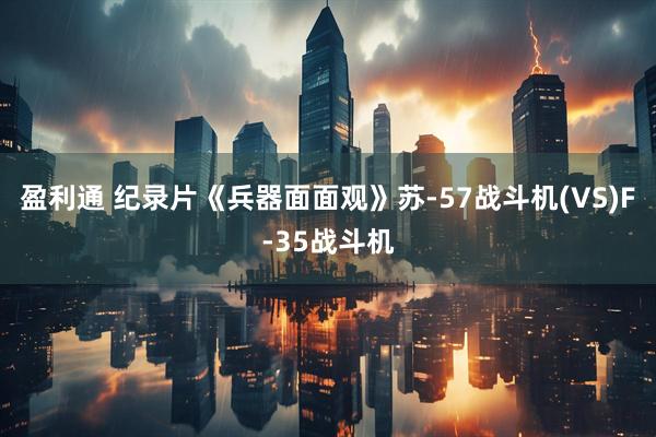 盈利通 纪录片《兵器面面观》苏-57战斗机(VS)F-35战斗机