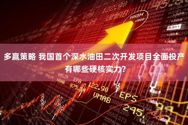 多赢策略 我国首个深水油田二次开发项目全面投产 有哪些硬核实力？