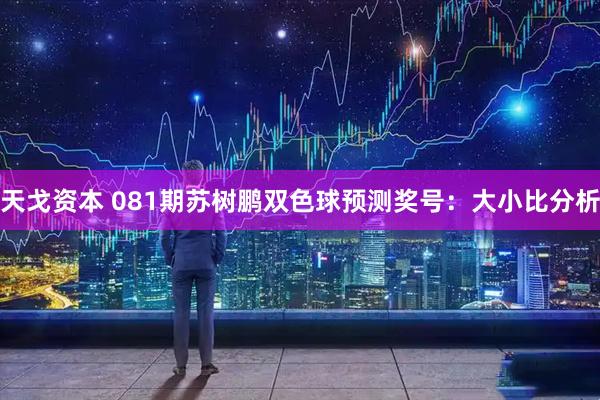 天戈资本 081期苏树鹏双色球预测奖号：大小比分析